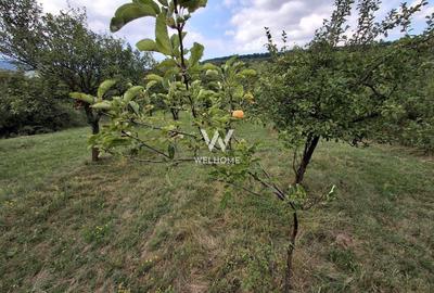 Teren agricol extravilan de 3223 mp, în Sibiel - 2