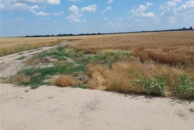 Teren 88000 mp de vanzare, Glina - 6