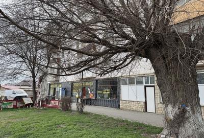 Spațiu comercial, în Baia - 6