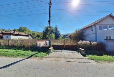 Teren Vacarea ,Mihaiesti , Arges - 5381 mp - 4
