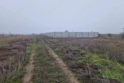 Teren de 918 mp, în Șimnicu de Sus - 1