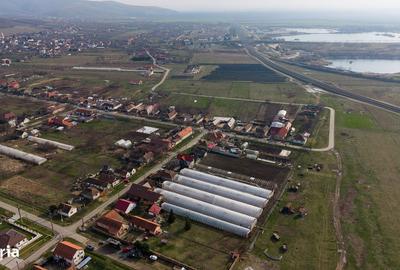 Casă cu 2 camere cu Teren 1570 Mp în Ghioroc - 6