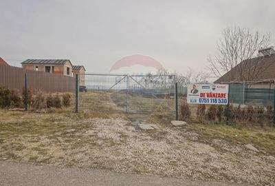 COMISION 0% Casa Individuala La Rosu cu teren de 4000 mp in Crizbav - 12