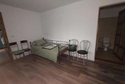 Casă cu Teren 1200 Mp în Constantin Daicoviciu - 10