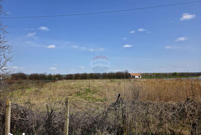 Teren de 7000 mp, în Girov - 8