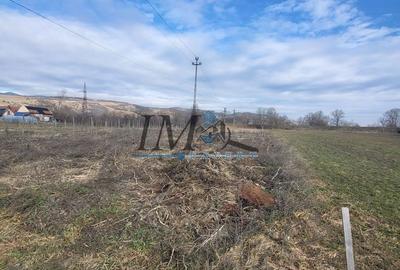 Teren de 2400 mp, în Vințu de Jos