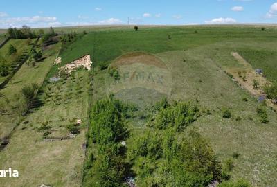 Teren de 2307 mp, în Ciurila - 5