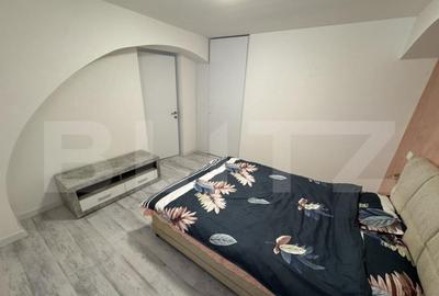 Apartament 2 camere, semidecomandat, curte 50mp Zona Casa St - 3