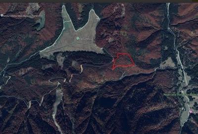 Teren 7 ha, Lac Vidraru, Podis Molivis Teren 7 ha, Lac Vidraru, Podis Molivis - 4