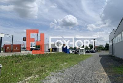 Teren de 712 mp de inchiriat cu acces auto la asfalt, calea Lugojului - 3