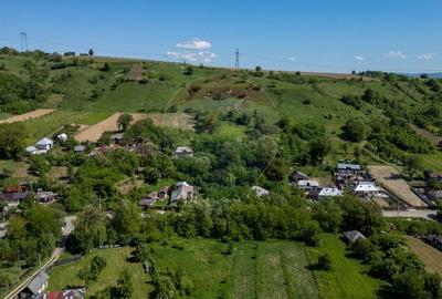 Teren de vanzare -Parava - DRAGUSANI - 4