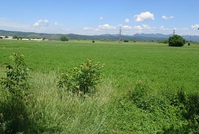 Teren de 14720 mp, în Hărăului - 8