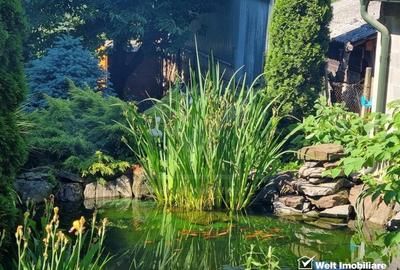 Casa 5 cam., 300 mp, crama, gradina, iaz, aer curat, liniste,  cartier Gruia - 3
