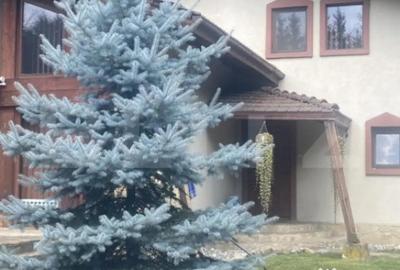 Casă cu 3 camere cu Teren 1125 Mp în Central - 10