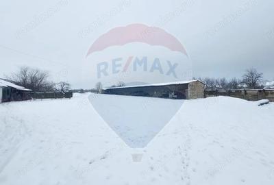 Casă cu 5 camere cu Teren 7531 Mp în Sacu - 4