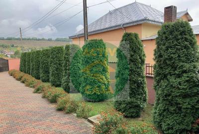 Casa de vanzare zona Roman - 5