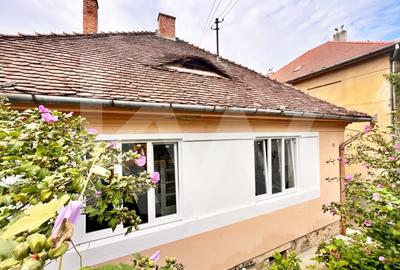 Casa pe un singur nivel cu 3 camere+pivnita. Pod si curte-Zona Sub Arini - 19