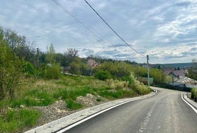 Teren Construcții intravilan de 1000 mp, în Valea Lupului