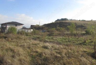 Teren de 15400 mp, în Zăvoi - 7