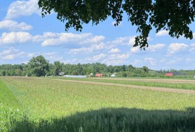 Teren extravilan, 4000mp, Fratautii vechi - 2