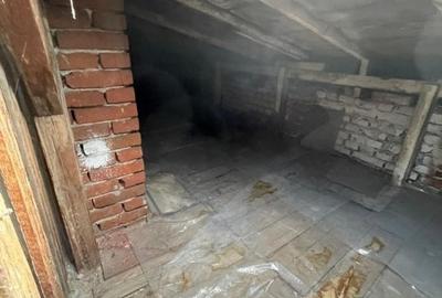 Villa Interblica - Parcul Carol Villa Interblica - Parcul Carol - 41