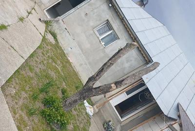 Casă cu 3 camere cu Teren 1000 Mp în Hârsești - 5