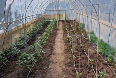 Casa individuala, 100 mp utili, teren 759 mp, Falticeni - 7