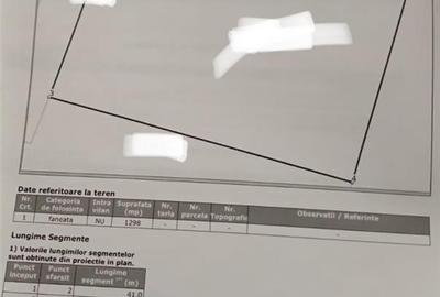 Teren Extravilan Timisul de Jos 1298 si drum 250 mp - 2