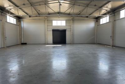 Spațiu industrial, de 600 mp, în Torontalului - 2