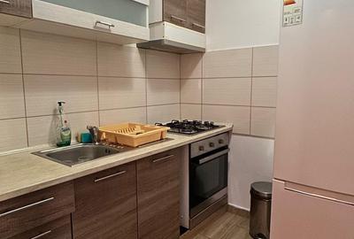 Casa in Tara Fagarasului - Halmeag - 12