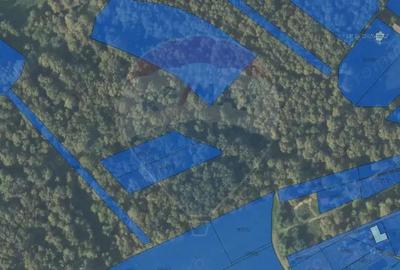 Padure de 4,849 mp in Lapusel - 2