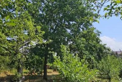 Teren de 572 mp, în Băicoi - 1