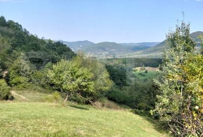 Teren de 70290 mp, în Meteș - 9