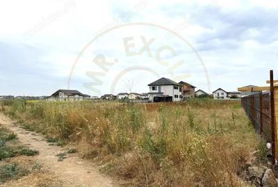 Teren Intravilan pe Strada Bega/Com. Berceni Loca?ia Perfecta pentru Casa Ta - 4