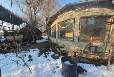 Teren 2400mp stradal casa batraneasca in Mihai Voda Giurgi - 2