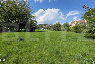 Spațiu comercial, în Sud