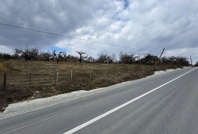 Spațiu comercial, în Malu cu Flori - 1
