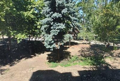 Apartament cu 2 camere în Ultracentral - 9