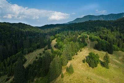 Film!!Punct de intalnire cu natura! Poiana Brasov - Rasnov,350.000mp,destinatie - 6