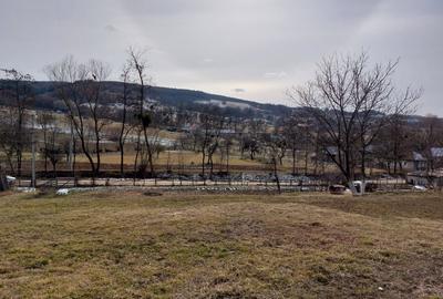 Teren de 1305 mp, în Valea Crișului - 5