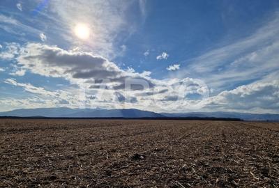 Teren extravilan arabil 5950 mp Selimbar - zona Sopa - 3