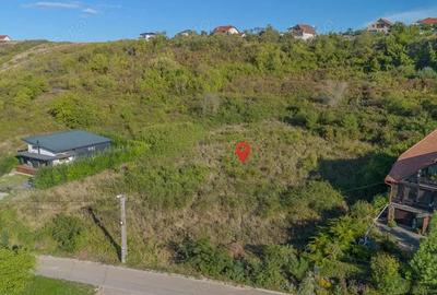 Teren 6.583 mp cu dubla deschidere ?i utilita?i, Calea Adevarului Oradea - 4