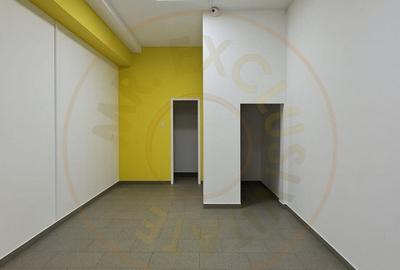 Spatiu Stradal Cu Vad Format Banat- Razboieni - 3