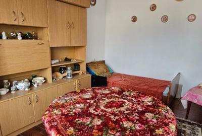 Apa, casa P+M,14 ari teren - 7