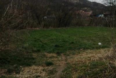 Casa de vanzare cu 21 ari de teren intravilan - 2