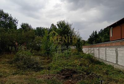 Teren Construcții intravilan de 572 mp, în Băicoi - 7
