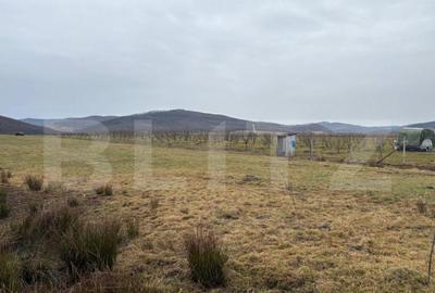 Teren Beclean zona Baile Figa - 4