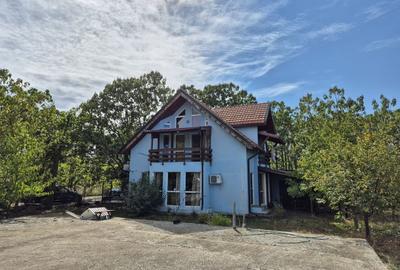 Casa P+1 din lemn - Mihailesti - 2