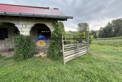 Casa de vanzare - GHINDAOANI - 12