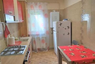 Apartament confortabil si ergonomic, Centrul Civic - Grivitei, Brasov - 9